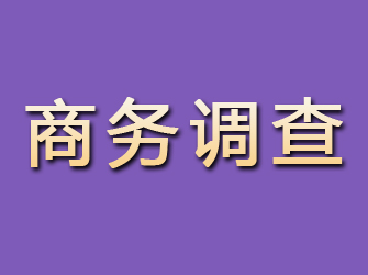 双流商务调查